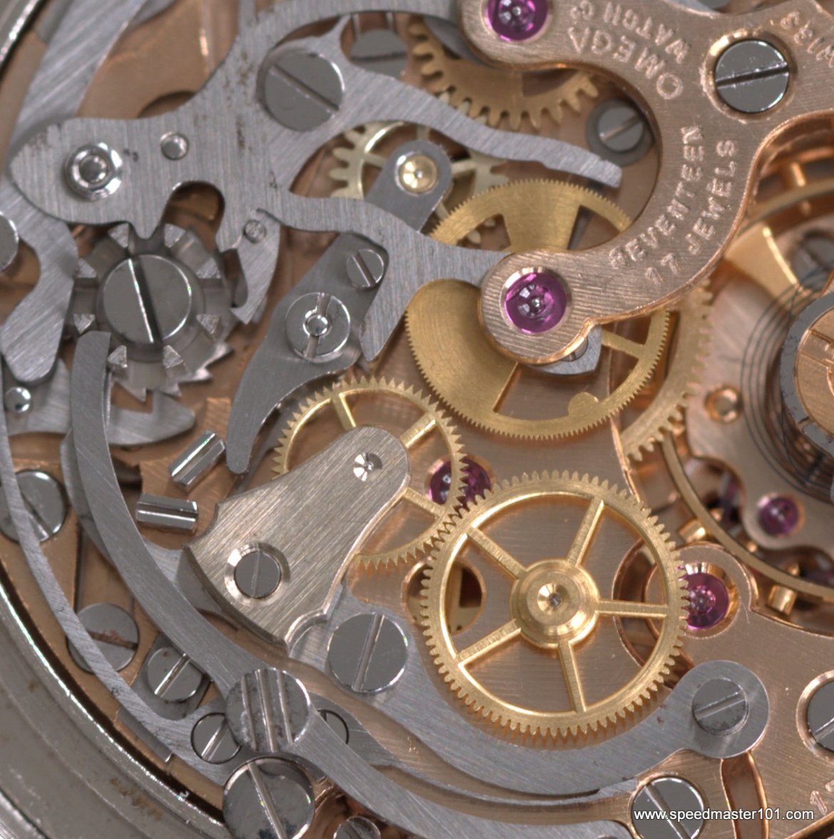 1-P2030021-001 - Copy.jpg