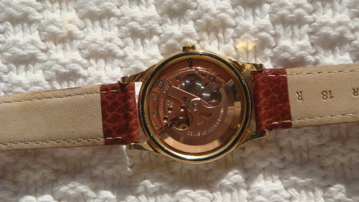 conny deluxe 001.JPG