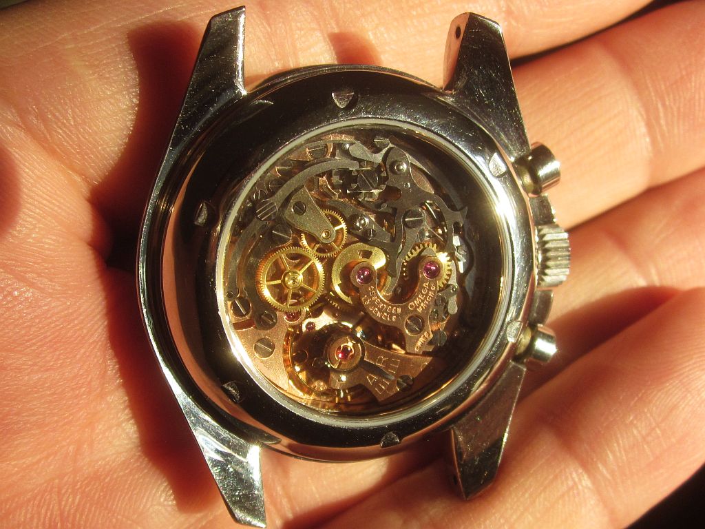 SP ws 3 IMG_5236.jpg