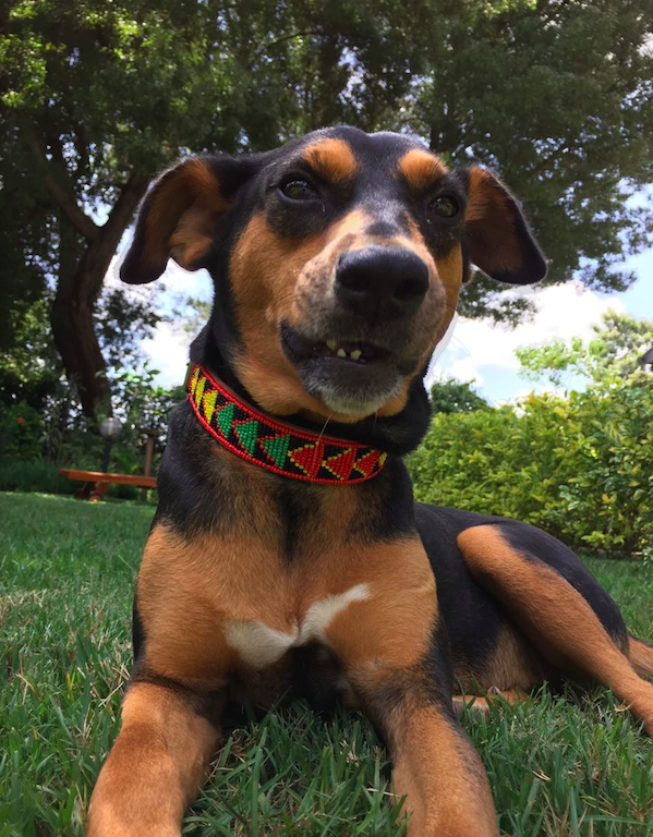 Schermafbeelding 2017-02-14 om 21.37.57.png