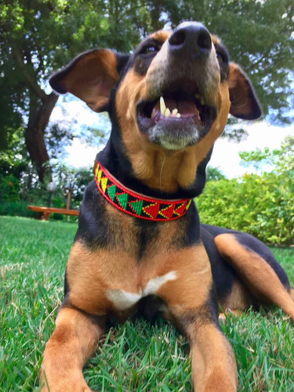 Schermafbeelding 2017-02-14 om 21.38.12.png