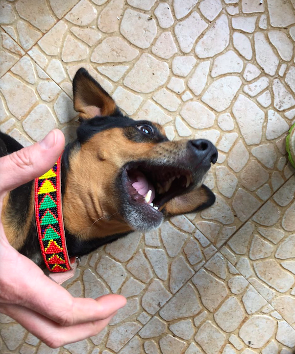 Schermafbeelding 2017-02-14 om 21.38.37.png