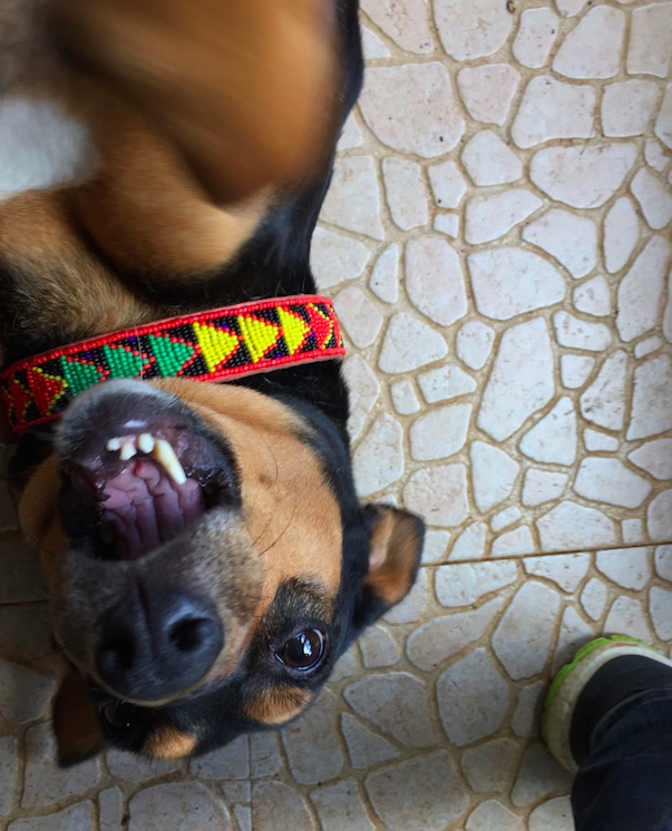 Schermafbeelding 2017-02-14 om 21.38.47.png