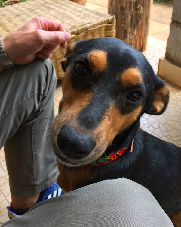 Schermafbeelding 2017-02-14 om 21.39.04.png