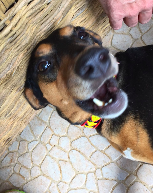 Schermafbeelding 2017-02-14 om 21.43.24.png