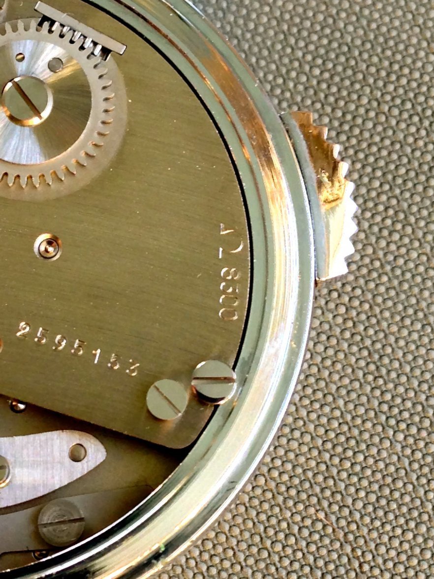 image.jpeg image.jpeg