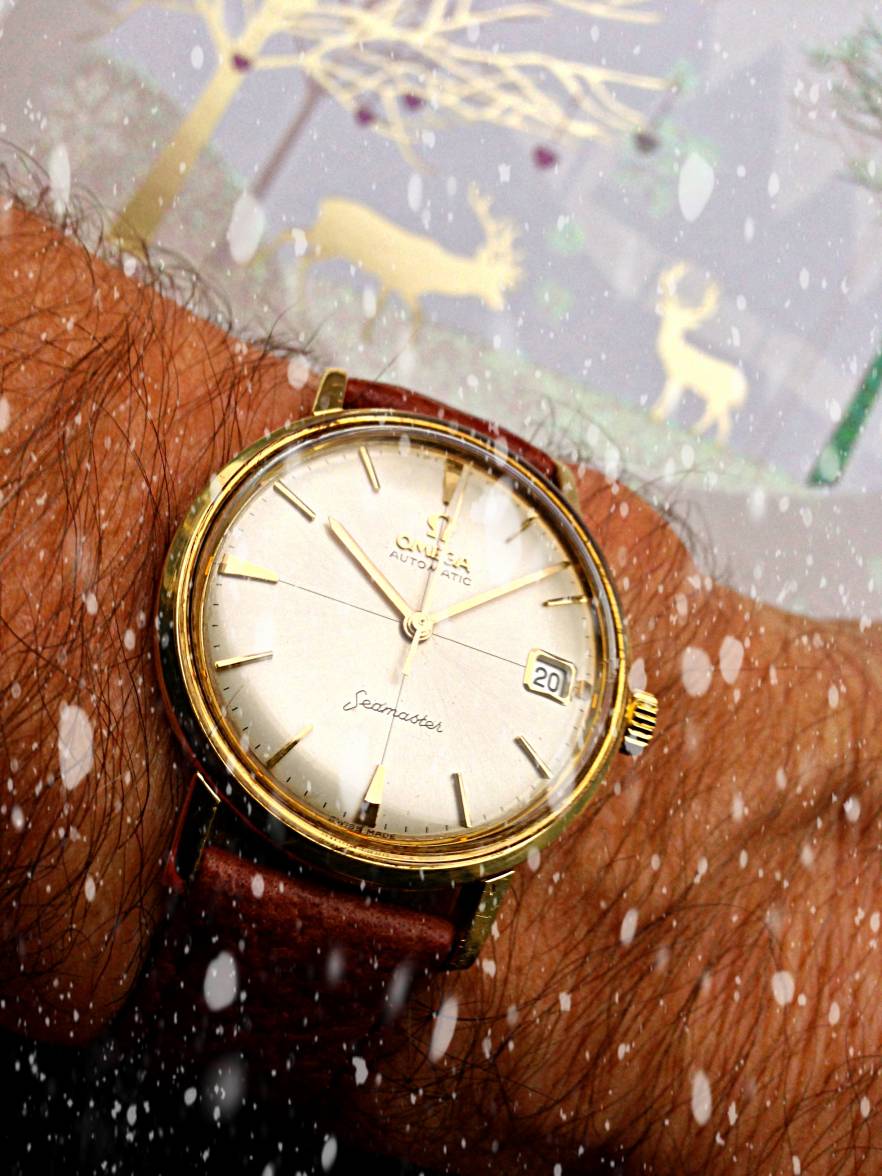 Seamaster Snow.jpg