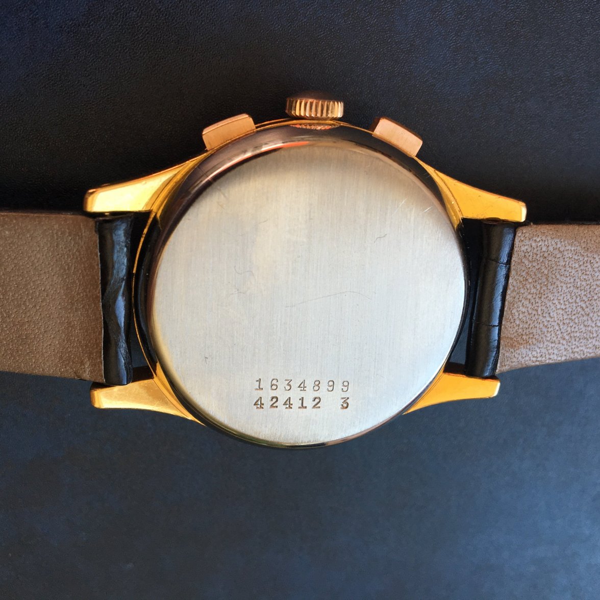 Photo 11.08.16 11 04 44.jpg