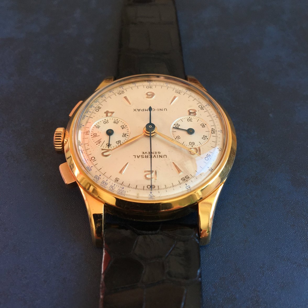 Photo 11.08.16 11 06 37.jpg