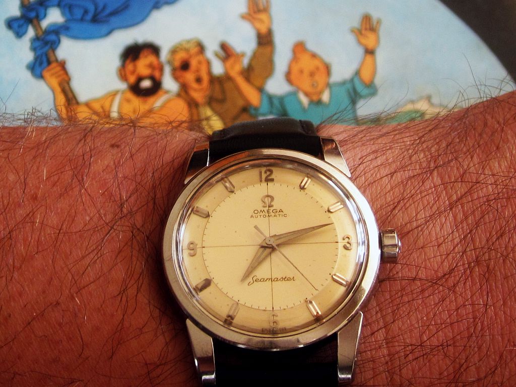 ws Tintin 1 IMG_6194.jpg