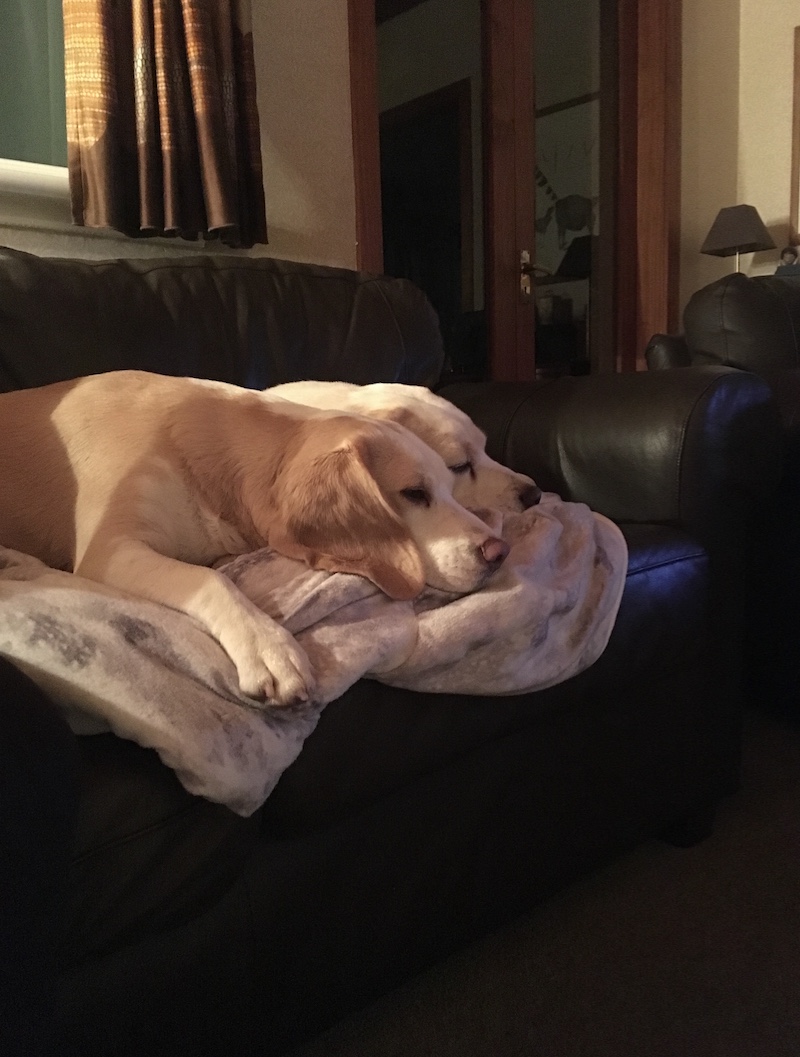 Screen Shot 2017-03-11 at 20.25.04.jpg