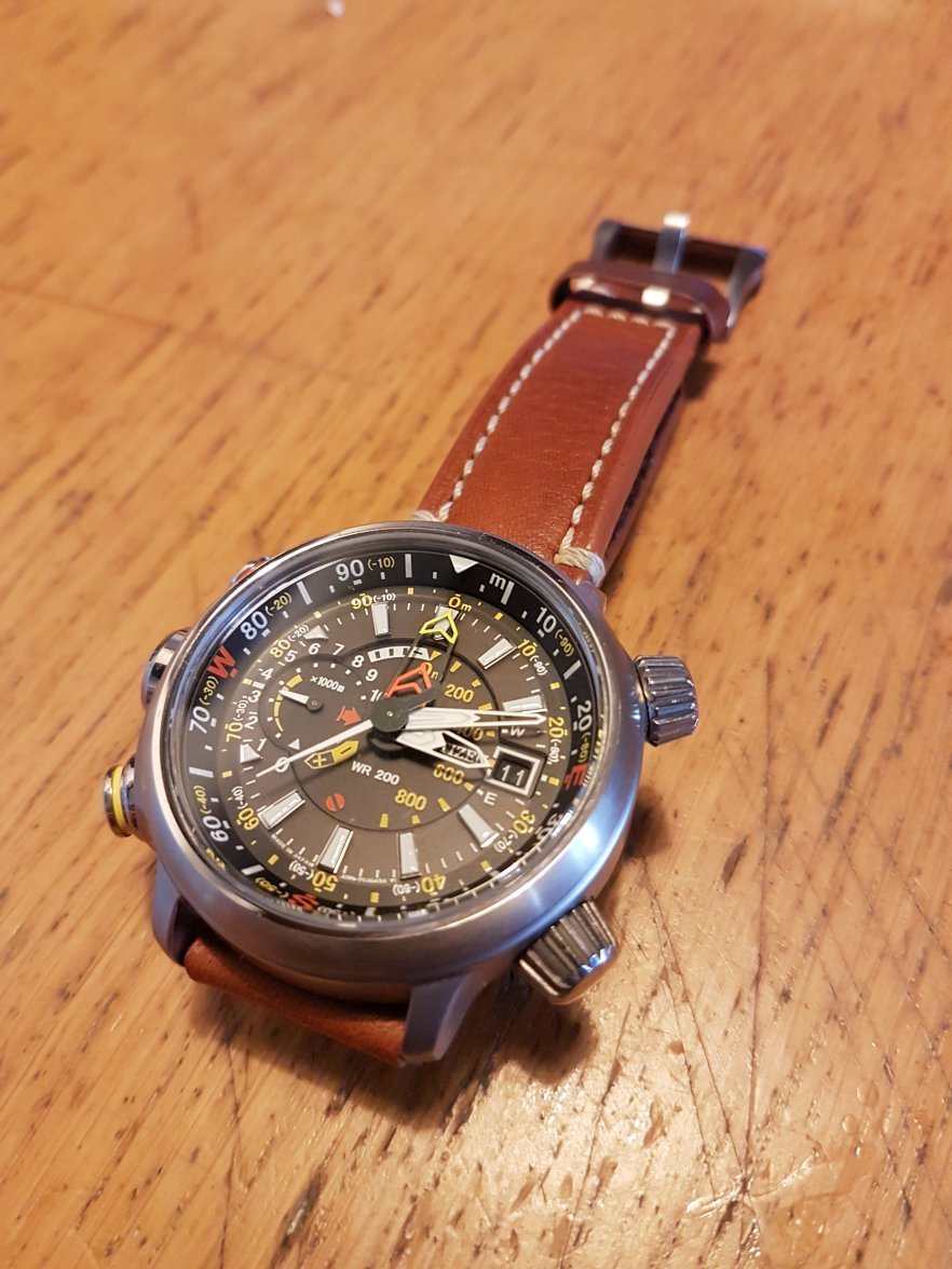 citizen promaster altichron titanium