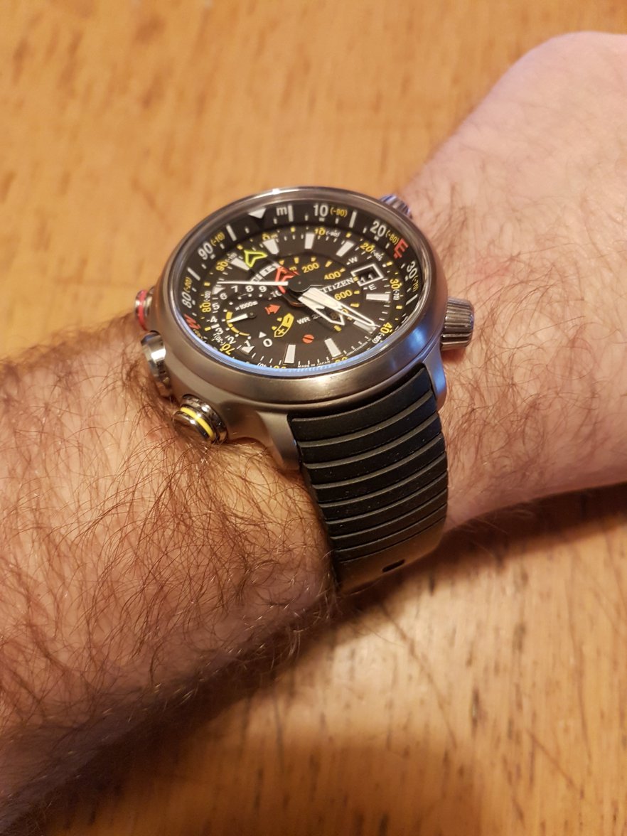 citizen altichron titanium