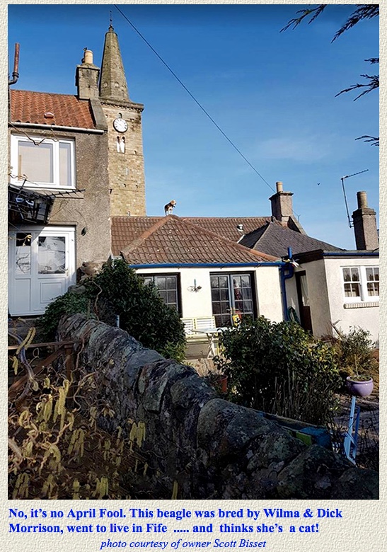 Screen Shot 2017-04-01 at 19.01.20.jpg