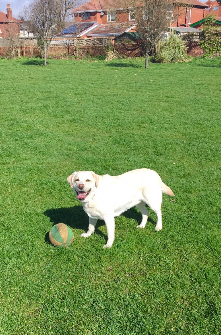 FullSizeRender 14.jpg