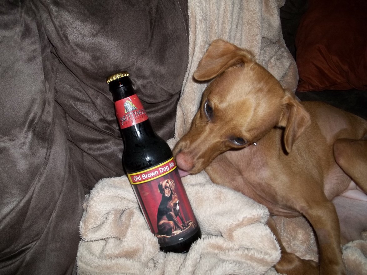 LuLu 2.13.2013 Old Brown Dog Ale.jpg
