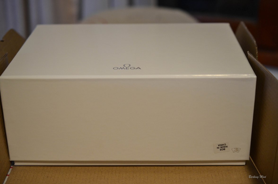 DSC_0884.jpg DSC_0884.jpg