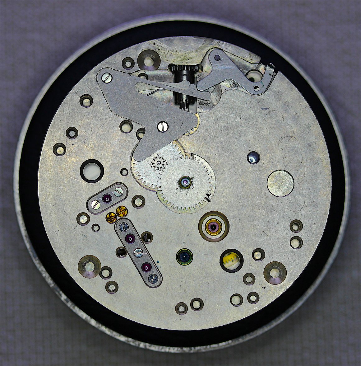 C202426_1.JPG C202426_1.JPG