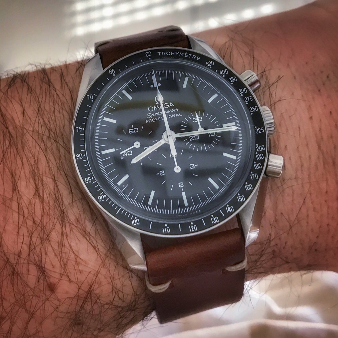 Speedy_B&S-1 (1).jpg