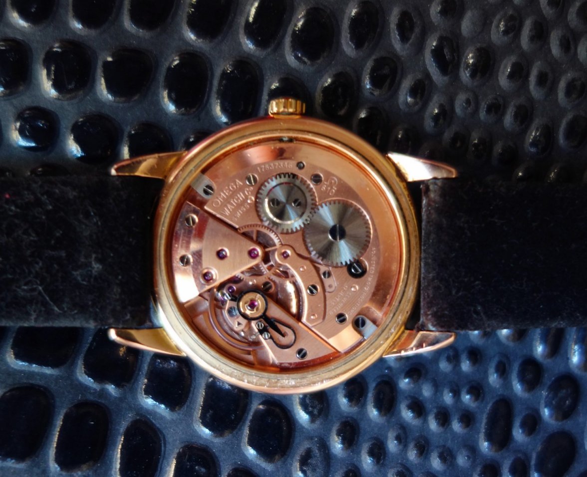 DSC03501 (Copiar).jpg