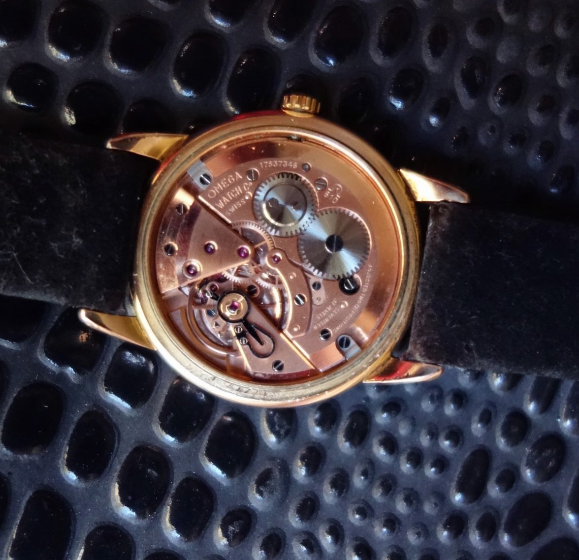 DSC03496 (Copiar).jpg