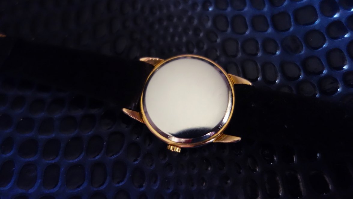 DSC03509 (Copiar).jpg