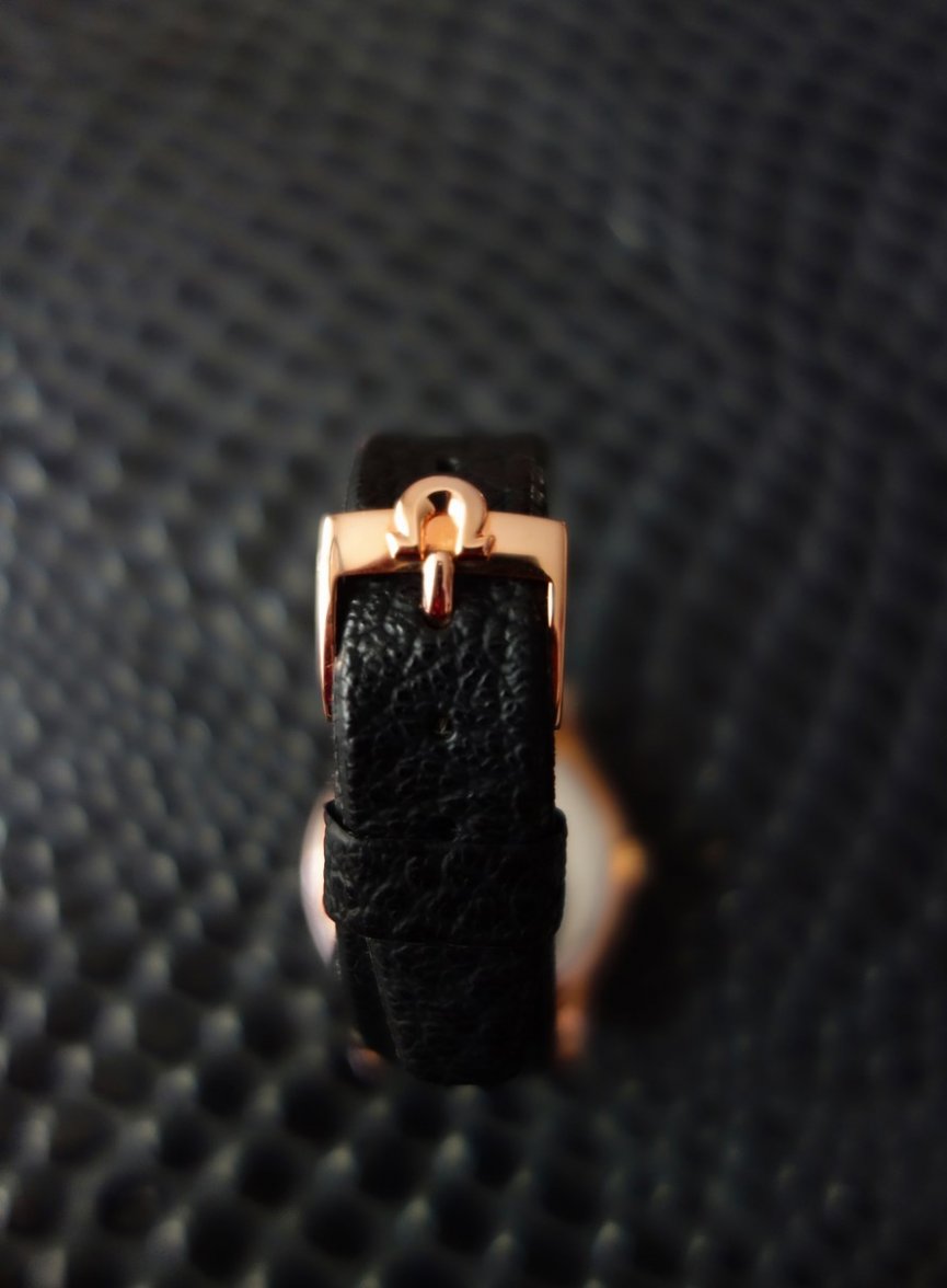 DSC03791 (Copiar).jpg