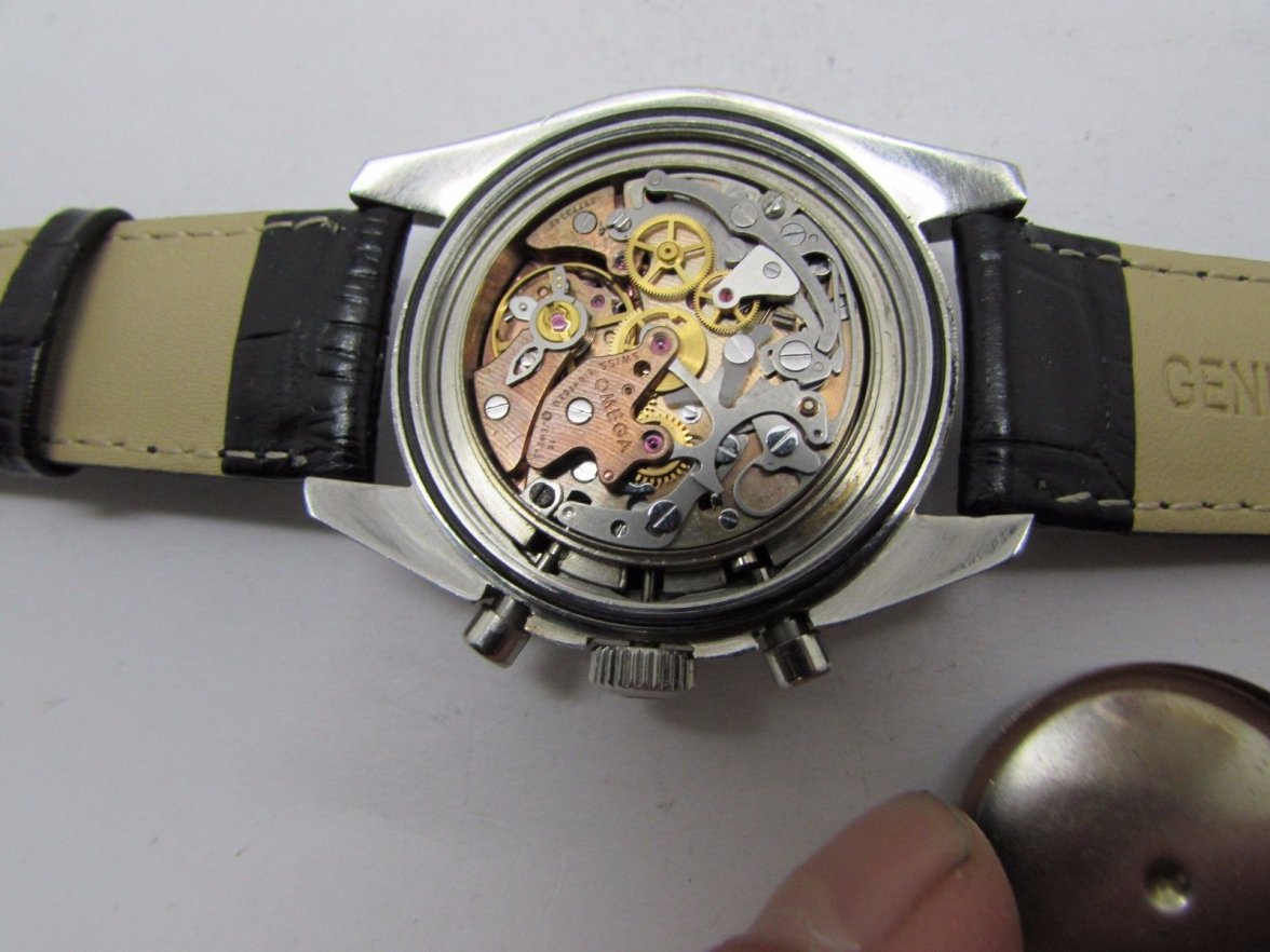 Suspicious movement.jpg