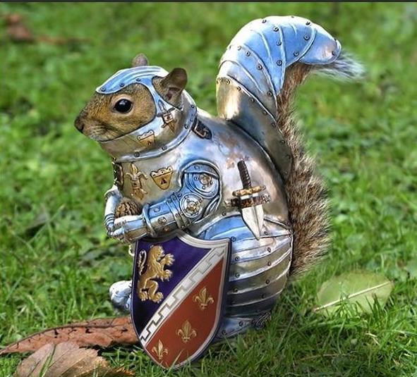 SquirrelBodyArmour.jpg