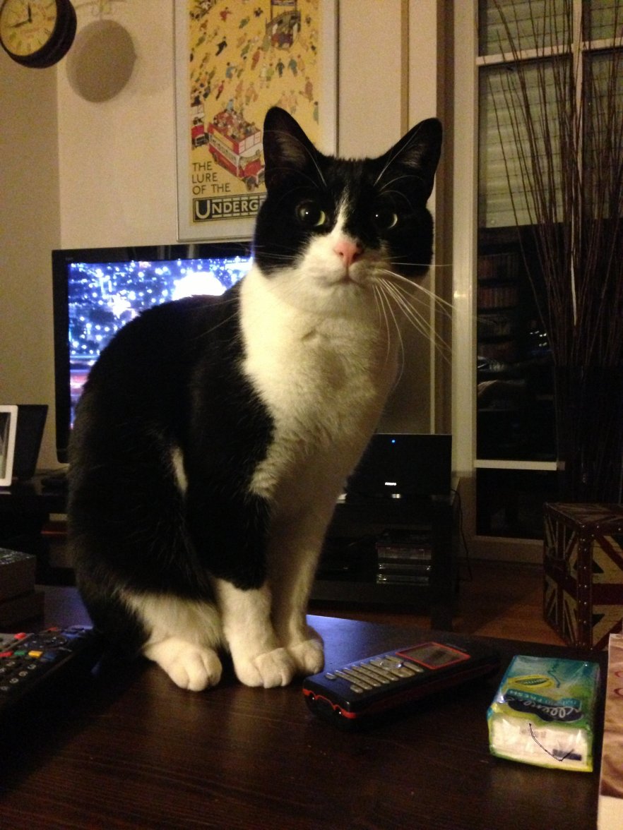 Foto 25.04.13 23 43 45.jpg