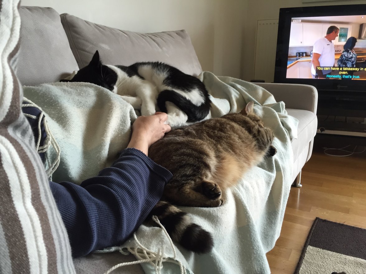 Foto 04.05.15 13 09 00.jpg