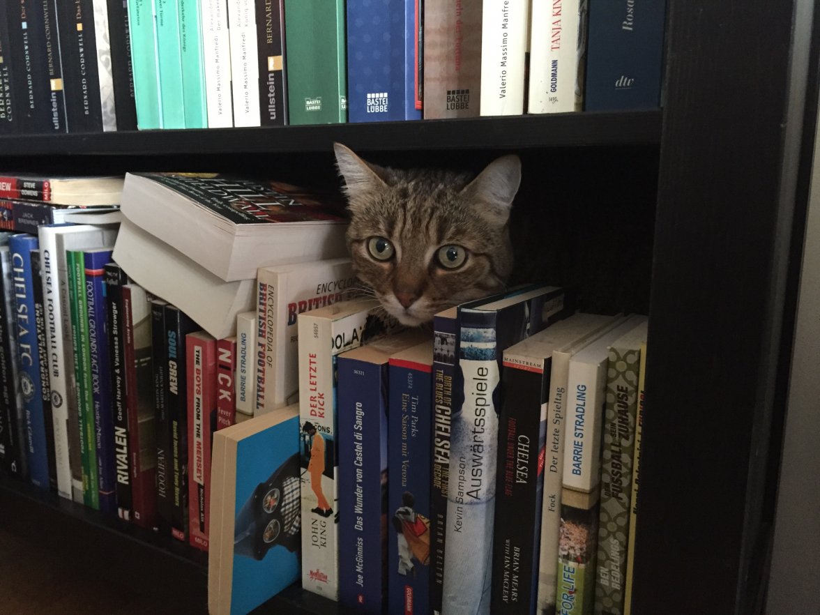 Datei 06.06.15 17 51 24.jpeg