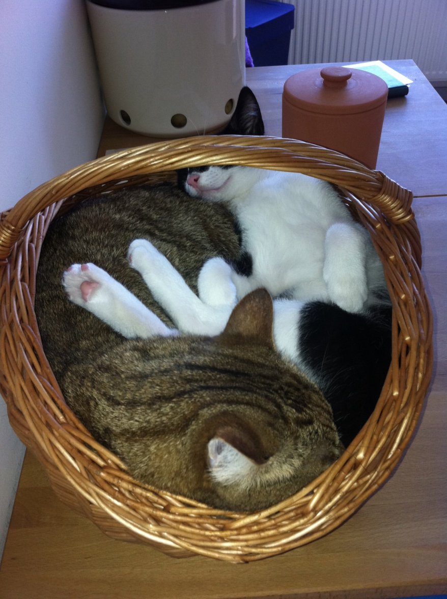 Foto 09.04.14 20 17 51.jpg