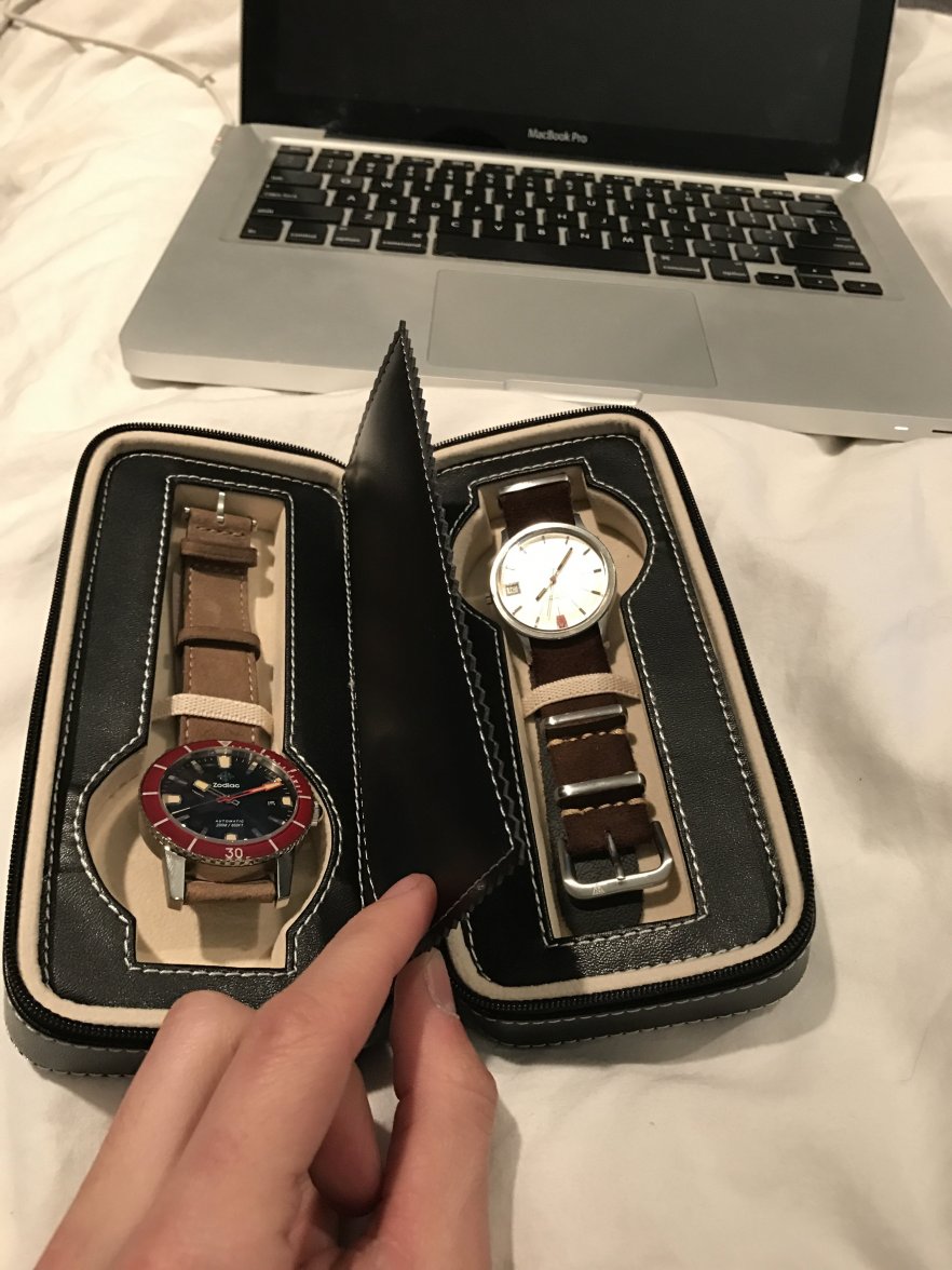 Watch Travel Cases/Rolls Omega Forums