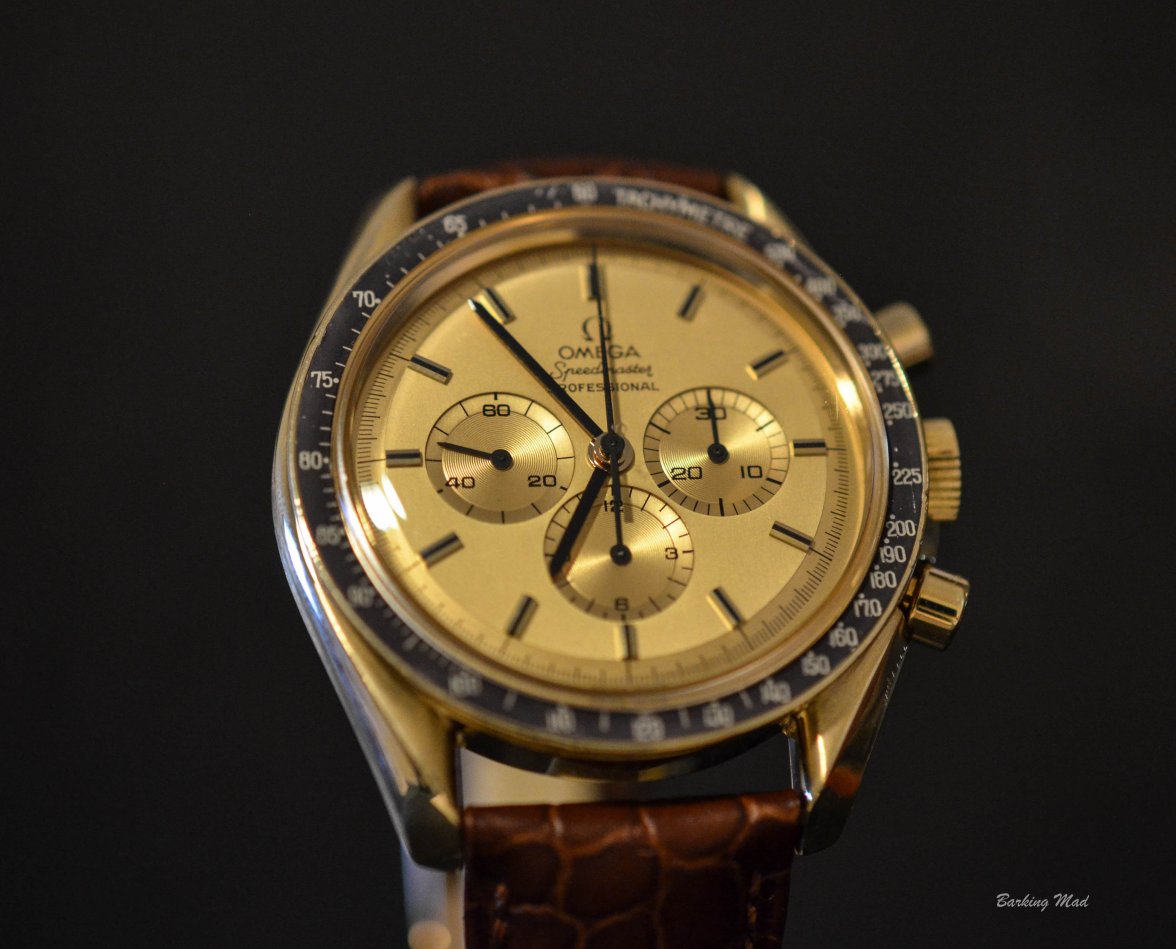 DSC_0767.jpg DSC_0767.jpg