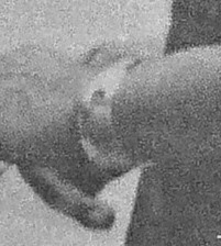 lonniegrouping5.jpg lonniegrouping5.jpg