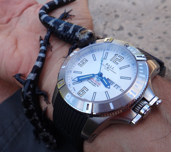 DSC03308 (700x624).jpg