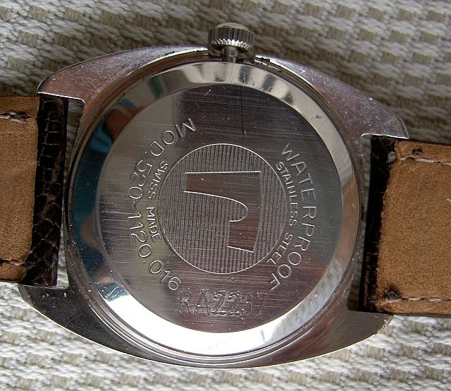 roamer anfibio (3).jpg