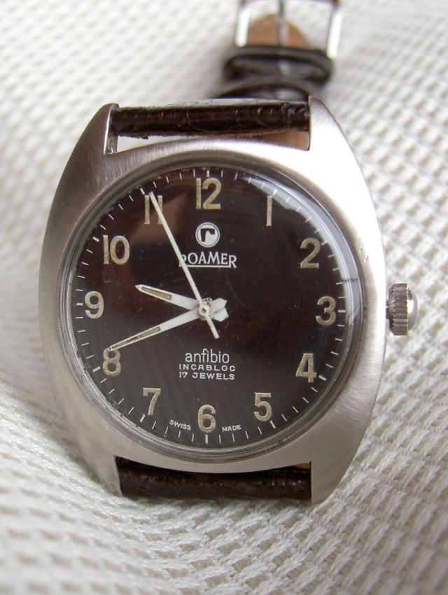 roamer anfibio (1).jpg