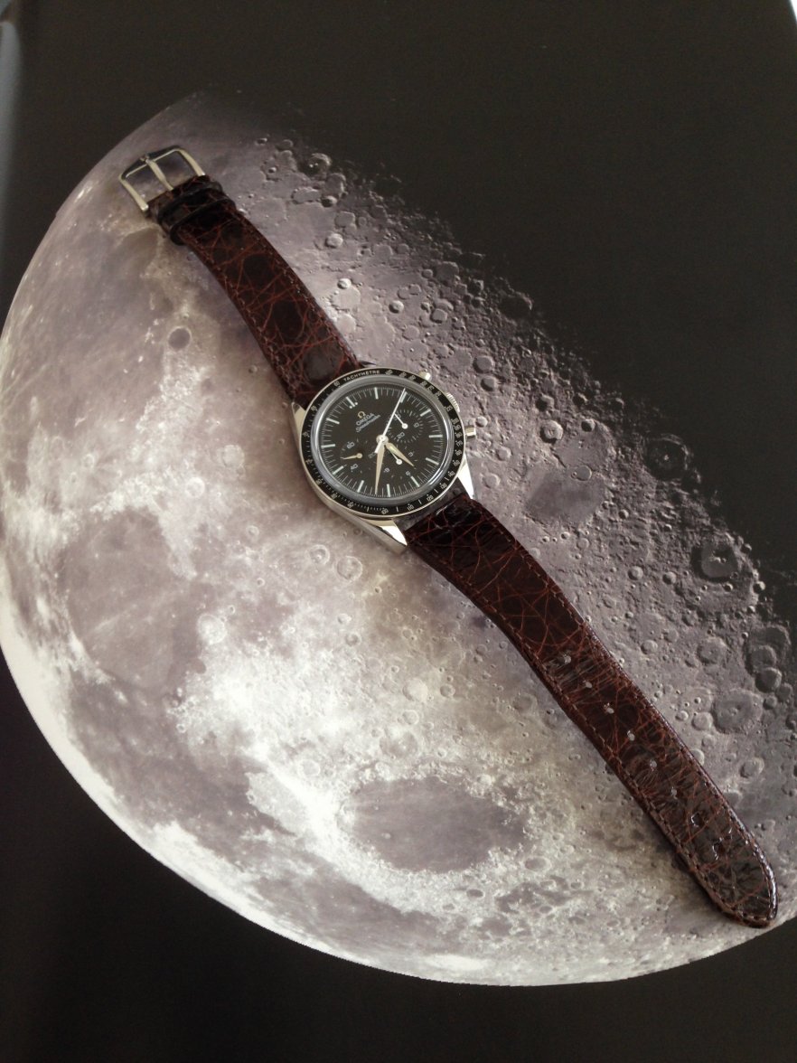 FOIS 5.JPG FOIS 5.JPG