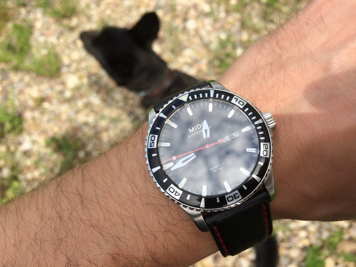 Photo 30-05-2017.jpeg