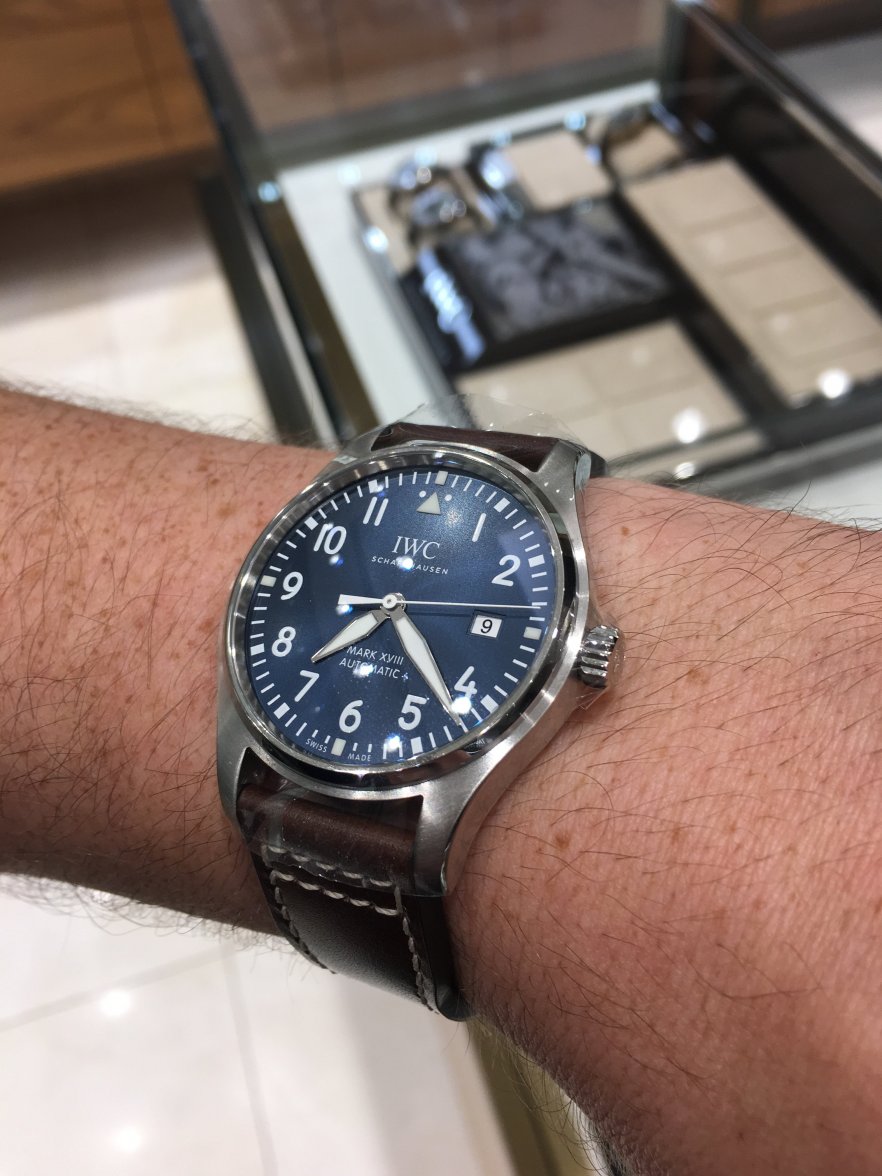 IMG_1381.JPG IMG_1381.JPG