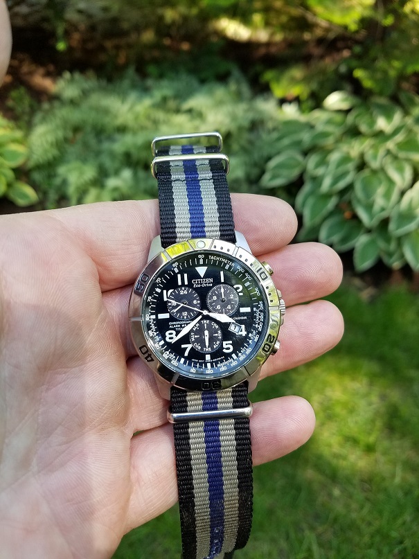 Citizen day sm.jpg Citizen day sm.jpg