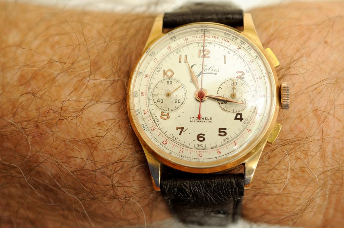 Jolus L48_061117 6708.jpg