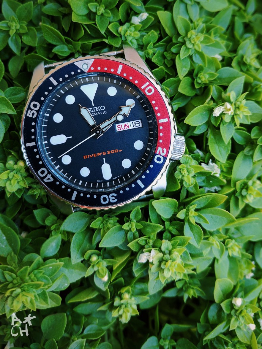 2017-06-18 11.15.43 1.jpg