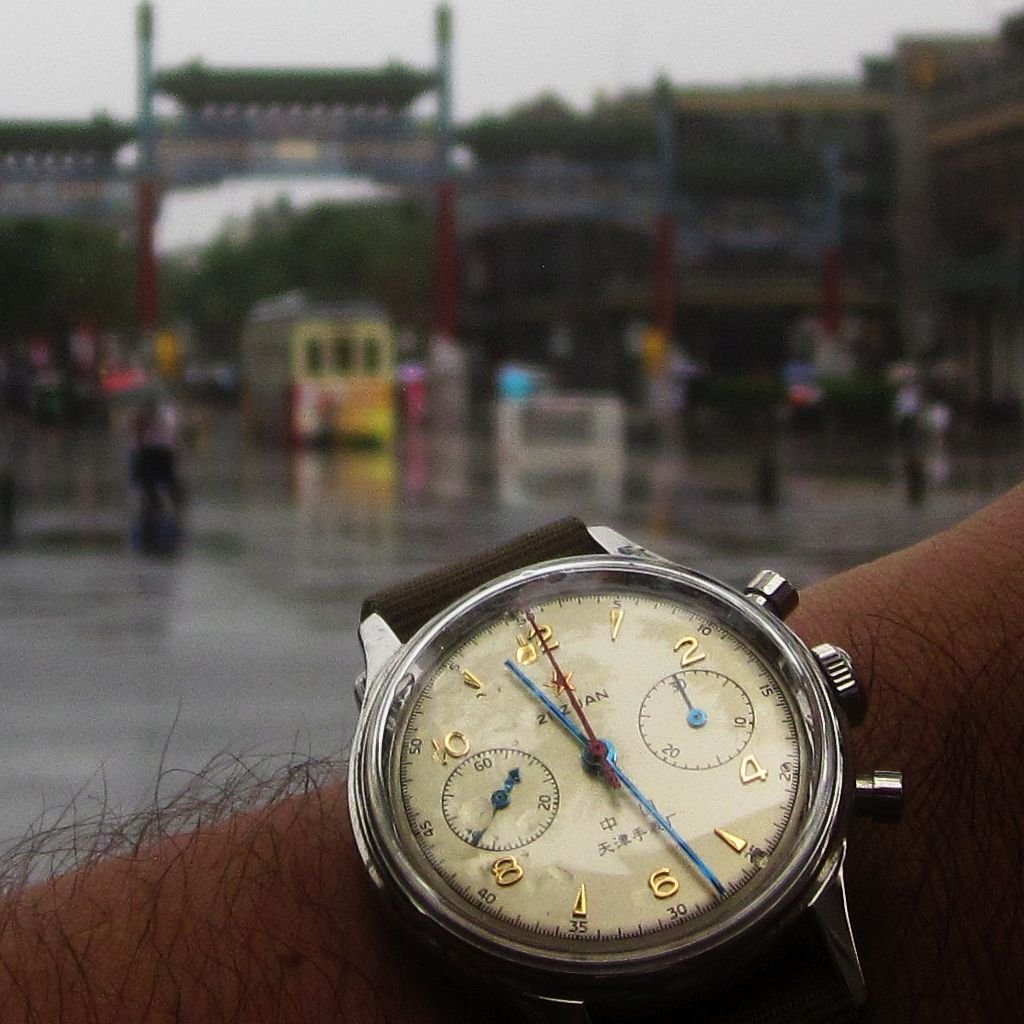 ISeagull TSquare 3 MG_6745.jpg