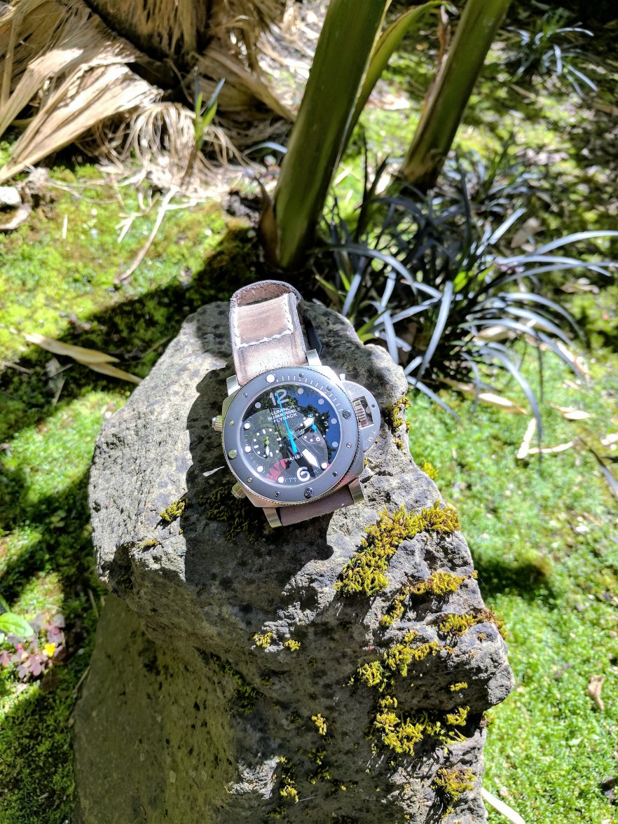 IMG_20170617_142441 (2).jpg