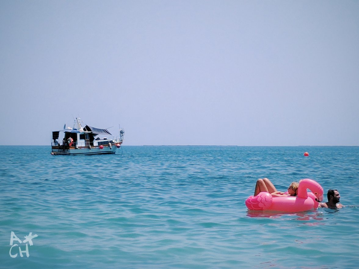 2017-07-23 05.33.03 2.jpg