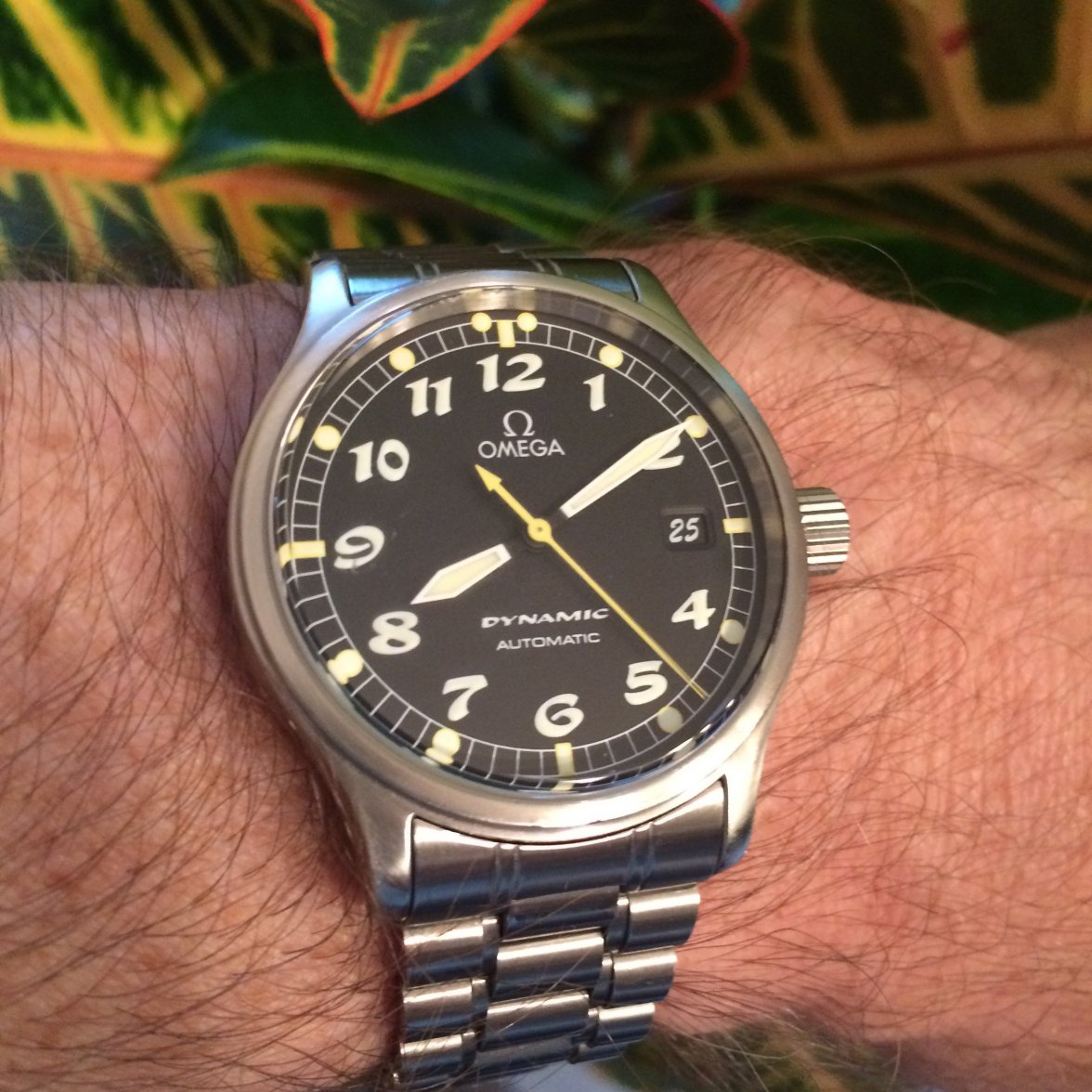 2016-05-25 20.10.26.jpg