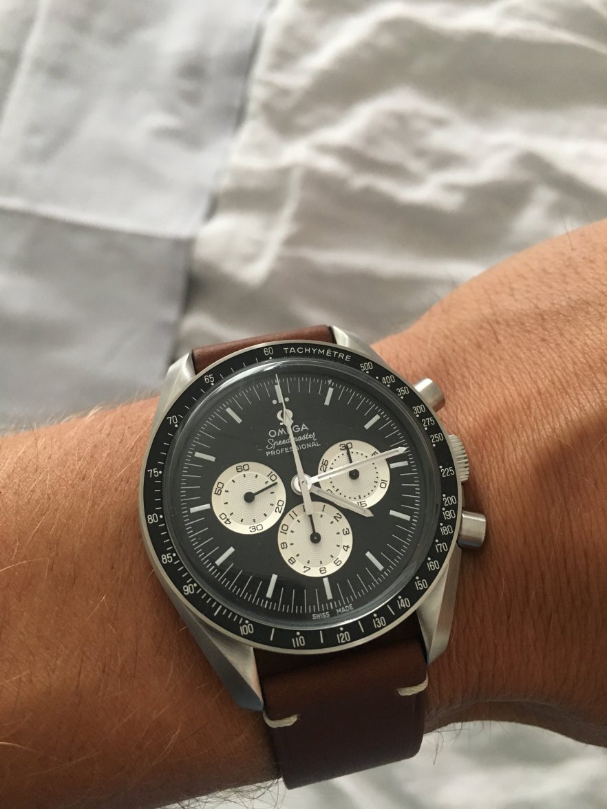 IMG_1316.JPG IMG_1316.JPG